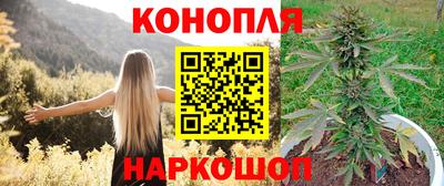скорость Будённовск